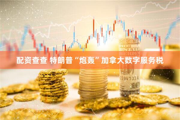 配资查查 特朗普“炮轰”加拿大数字服务税