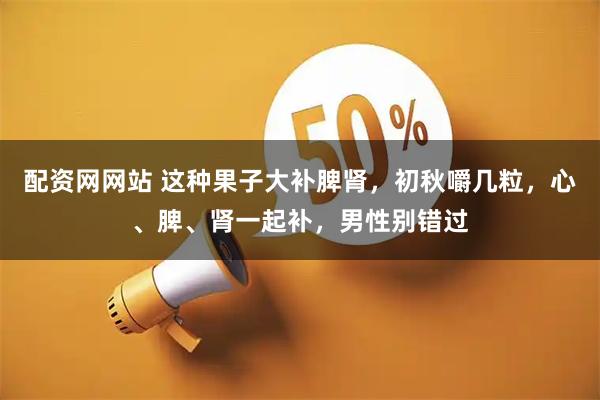 配资网网站 这种果子大补脾肾，初秋嚼几粒，心、脾、肾一起补，男性别错过