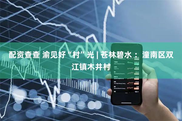配资查查 渝见好“村”光 | 苍林碧水 ：潼南区双江镇木井村